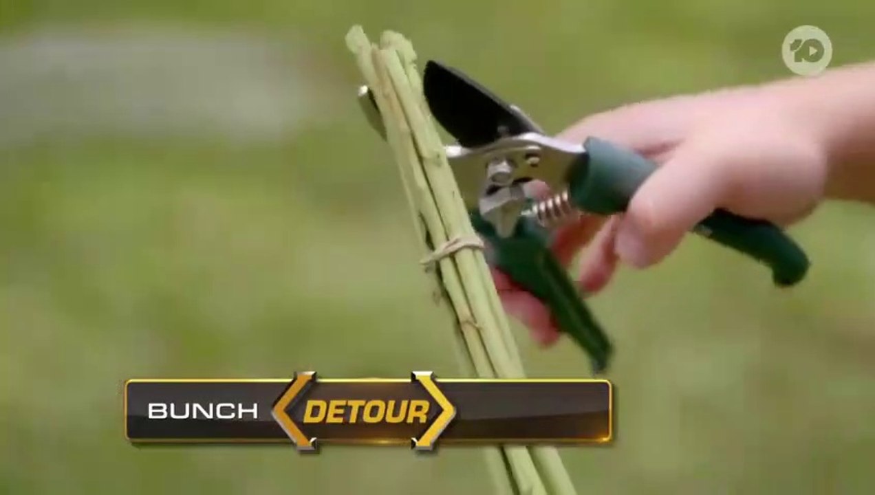 The Amazing Race Australia S06E11