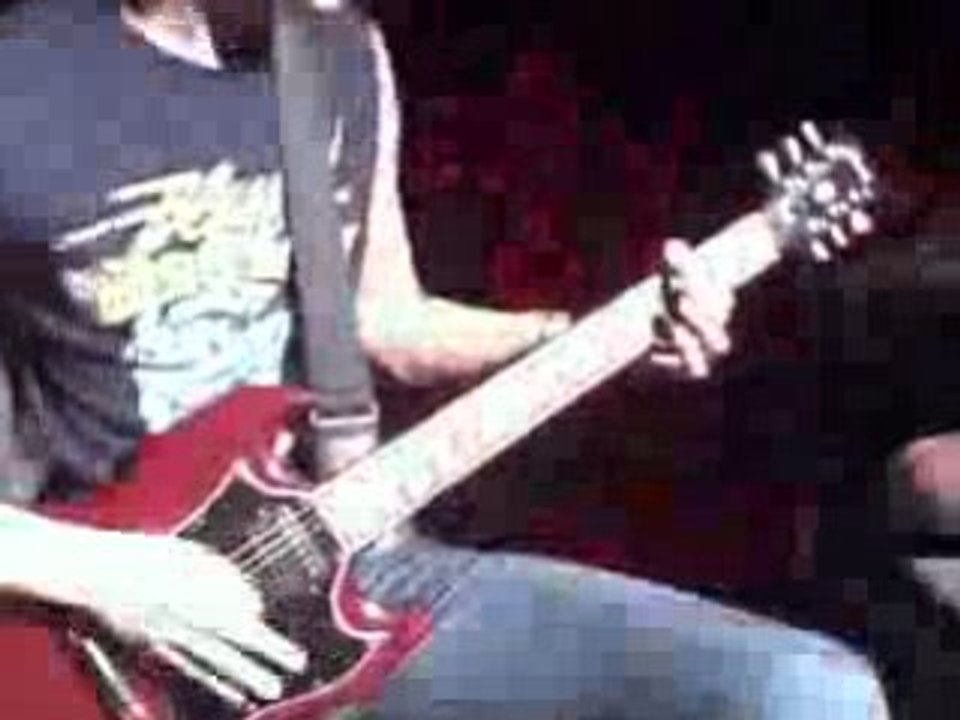 The Devil Wears - Prada Dogs Can Grow Beards All Over