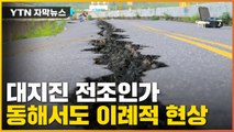 [자막뉴스] 동해안에서 이례적 현상...심상찮은 '불의 고리' / YTN