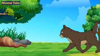 बिल्ली और चूहा की कहानी  | Cat and Mouse Story