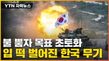 [자막뉴스] 역대급 무기에 해외 관심 폭발...또 수출 잭팟 터지나 / YTN
