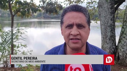 Apucarana licita plantio de 2,5 mil árvores na área urbana