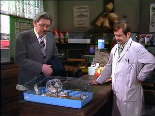 Loriot Staffel 1 Folge 5 HD Deutsch