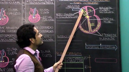 10 | SISTEMA CARDIOVASCULAR 02