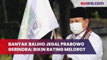 Curhat soal Banyak Baliho Jegal Prabowo di Daerah, Gerindra: Isinya Bikin Rating Melorot