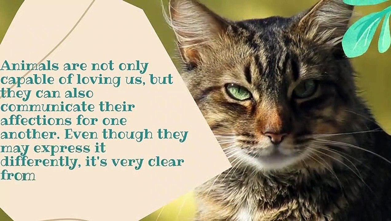 voluntarily assisting withthe wellbeing of animals in need (1)