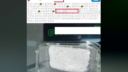 텔레그램 등 익명 SNS 통한 마약 판매·광고글 4,124건 적발 / YTN