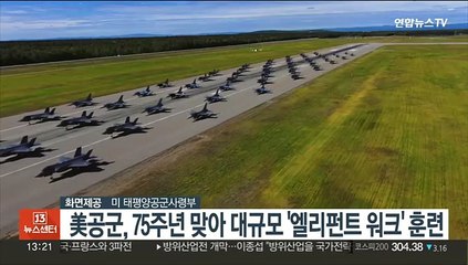 美공군, 75주년 맞아 대규모 '엘리펀트 워크' 훈련