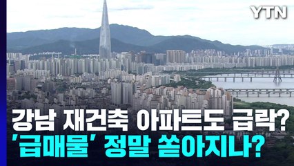 [더뉴스] 강남 재건축 아파트도 급락?...'급매물' 정말 쏟아지나? / YTN