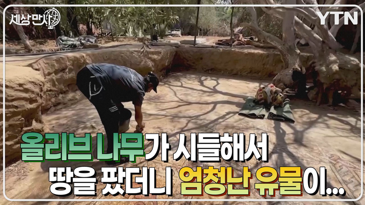 [세상만사] 땅 파다가 비잔틴 시대 모자이크 장식 발견한 팔레스타인 농부 / YTN
