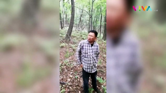 Petani Terjebak Dua Hari di Balon Udara