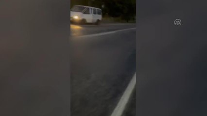 Otomobilin çarptığı 18 koyun telef oldu