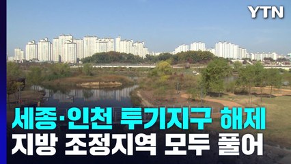 세종·인천 연수·인천 남동 투기과열 풀어...지방 조정지역 전면 해제 / YTN