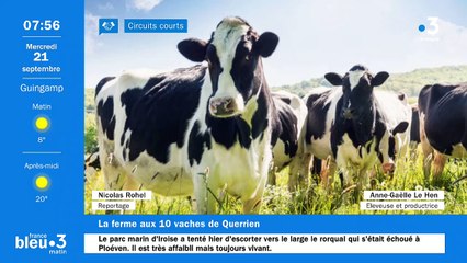 21/09/2022 - Le 6/9 de France Bleu Breizh Izel en vidéo