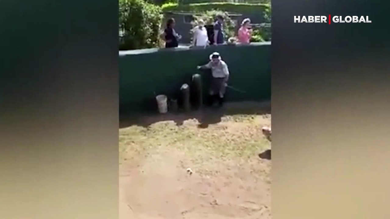 Timsahın üstüne binen adam hayatının şokunu yaşadı!