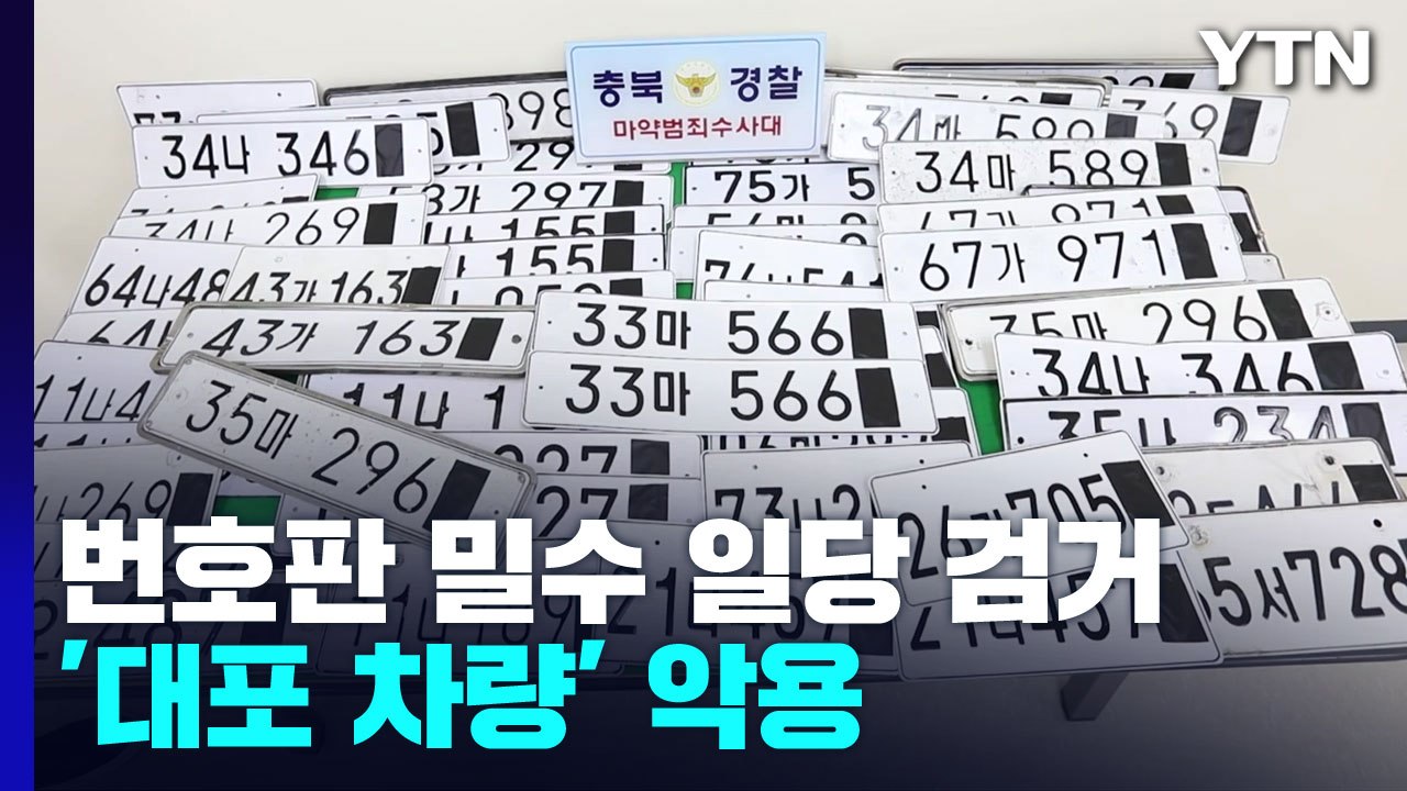 위조 차량 번호판 밀수입·유통 외국인 일당 검거...모두 불법 체류자 / YTN