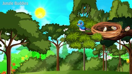 Chidiya Aur baarish | kalu lauaa cartoon chidiya cartoon