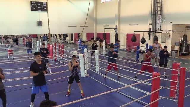 KASTAMONU - Abla-kardeş Avrupa Boks Şampiyonası'nda altın madalya hedefliyor