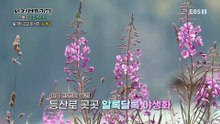 세계테마기행 - 그랜드 카자흐스탄- 2박 3일, 두 도시 이야기_#002
