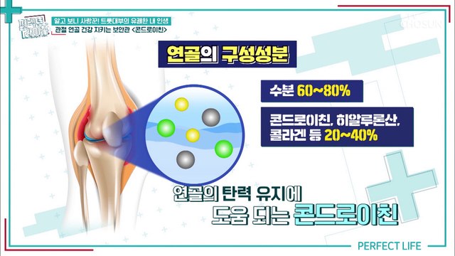 무너지는 전신건강을 막아주는 연골 보안관 ‘콘드로이친’ TV CHOSUN 20220921 방송