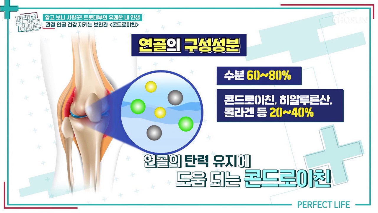 무너지는 전신건강을 막아주는 연골 보안관 ‘콘드로이친’ TV CHOSUN 202209...