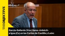 García-Gallardo (Vox) llama «imbécil» a Igea (Cs) en las Cortes de Castilla y León: