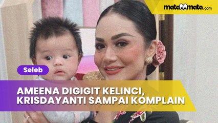 Ameena Digigit Kelinci Sampai Berdarah, Krisdayanti Komplain ke Penjual: Kok Dikasih yang Galak sih?