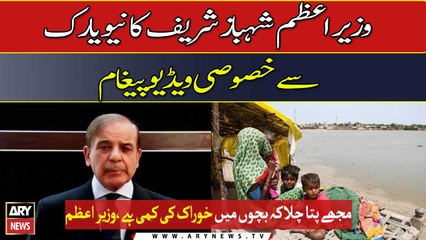 PM Shehbaz Sharif's special video message from New York