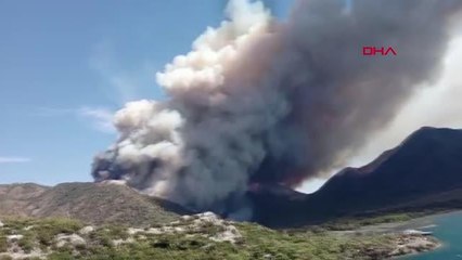 Son dakika haber: MARMARİS'TE ORMAN YANGINI