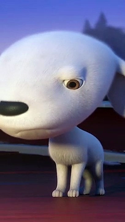 Cute pet萌宠，kitty猫咪，Cat喵星人，Adorable萌萌哒，Cute小可爱，Pet rabbit宠物兔，Pet rat宠物鼠，PetDog宠物狗狗～