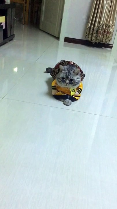 Cute pet萌宠，kitty猫咪，Cat喵星人，Adorable萌萌哒，Cute小可爱，Pet rabbit宠物兔，Pet rat宠物鼠，PetDog宠物狗狗～