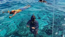 Snorkeling and viewing the marine life in the crystal clear waters of the Maldives.