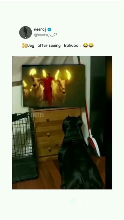 Looked bahubali of dog and maked bahubali, dog