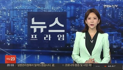 수백마리 떼죽음 되풀이되나…호주, 고래 집단 좌초에 '술렁'