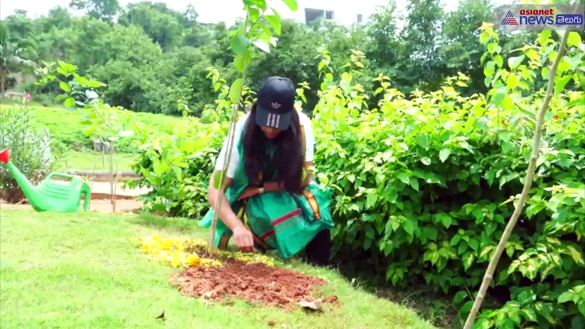 చిన్నారి గంగోత్రి గ్రీన్ ఇండియా ఛాలెంజ్...  