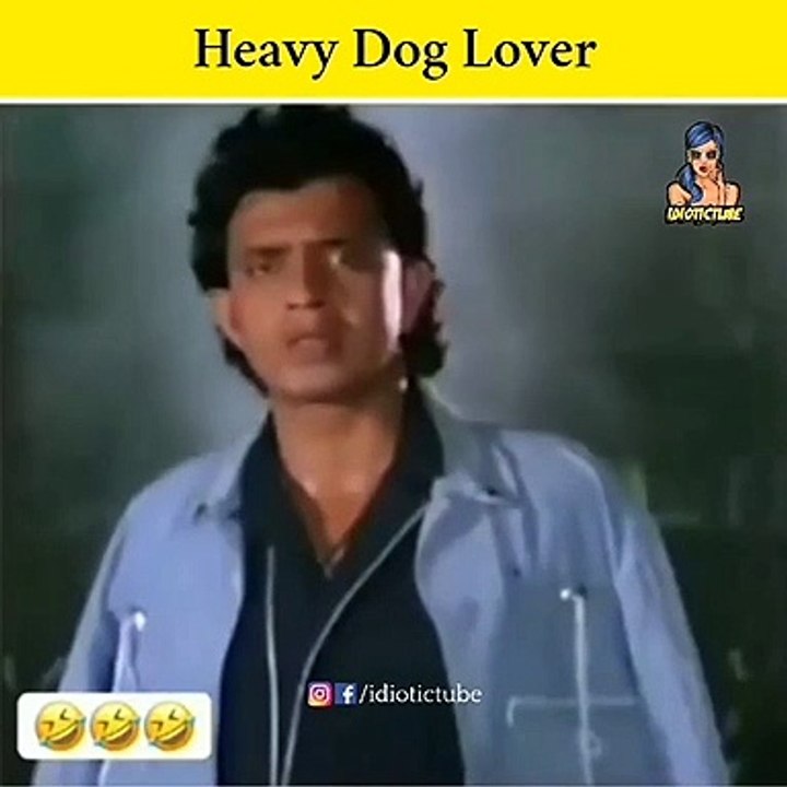 Heavy Dog  Lover