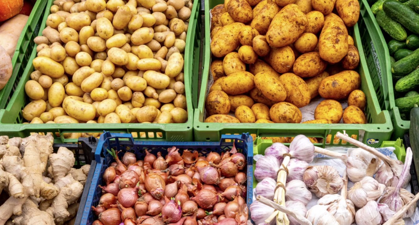 Kann man keimendes Gemüse problemlos essen?
