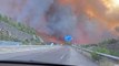 Conduire à travers un feu de forêt sur l'autoroute - Buzz Buddy