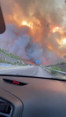Conduire à travers un feu de forêt sur l'autoroute - Buzz Buddy