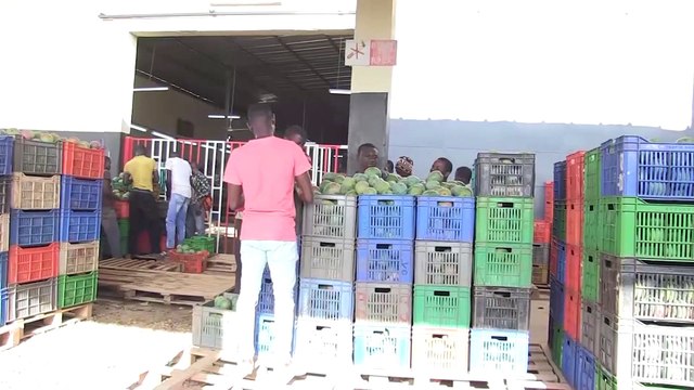 Redynamisation de la filière mangue : le PCCET échange avec les acteurs de la filière à Korhogo