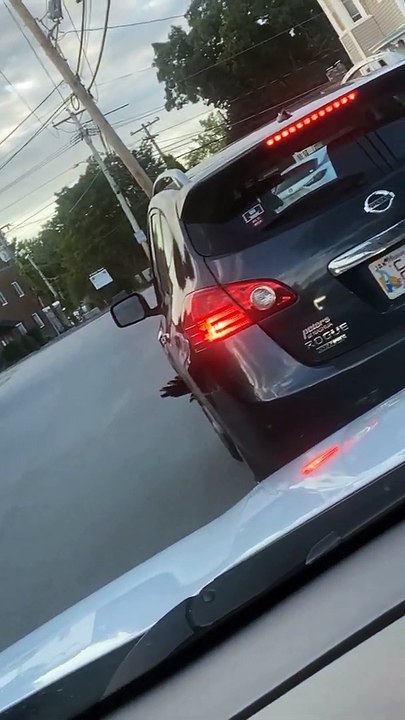 La Turquie terrorise le trafic - Buzz Buddy