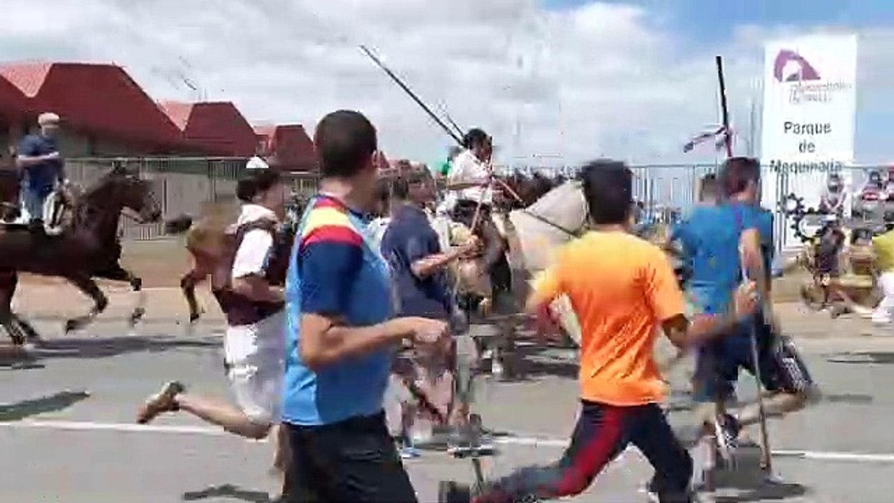Los novillos se aproximan a la capital