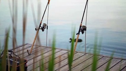 Enjoying the Beauty of Fishing and Cute Animals 🎣