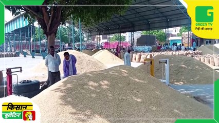 Kisan Bulletin 21 Sept 2022 - किसानों को सब्जियों के मुफ्त बीज देगी सरकार, सब्जियों की खेती के लिए किया जा रहा प्रोत्साहित