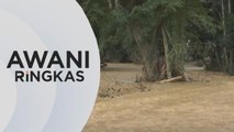 AWANI Ringkas: Haramkan pembanguan sekitar kawasan pergunungan