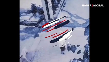 Kahraman köpek yoldaki adamın hayatını böyle kurtardı