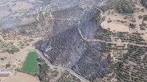 İzmir gündem haberi | İzmir Kiraz'da Orman Yangını