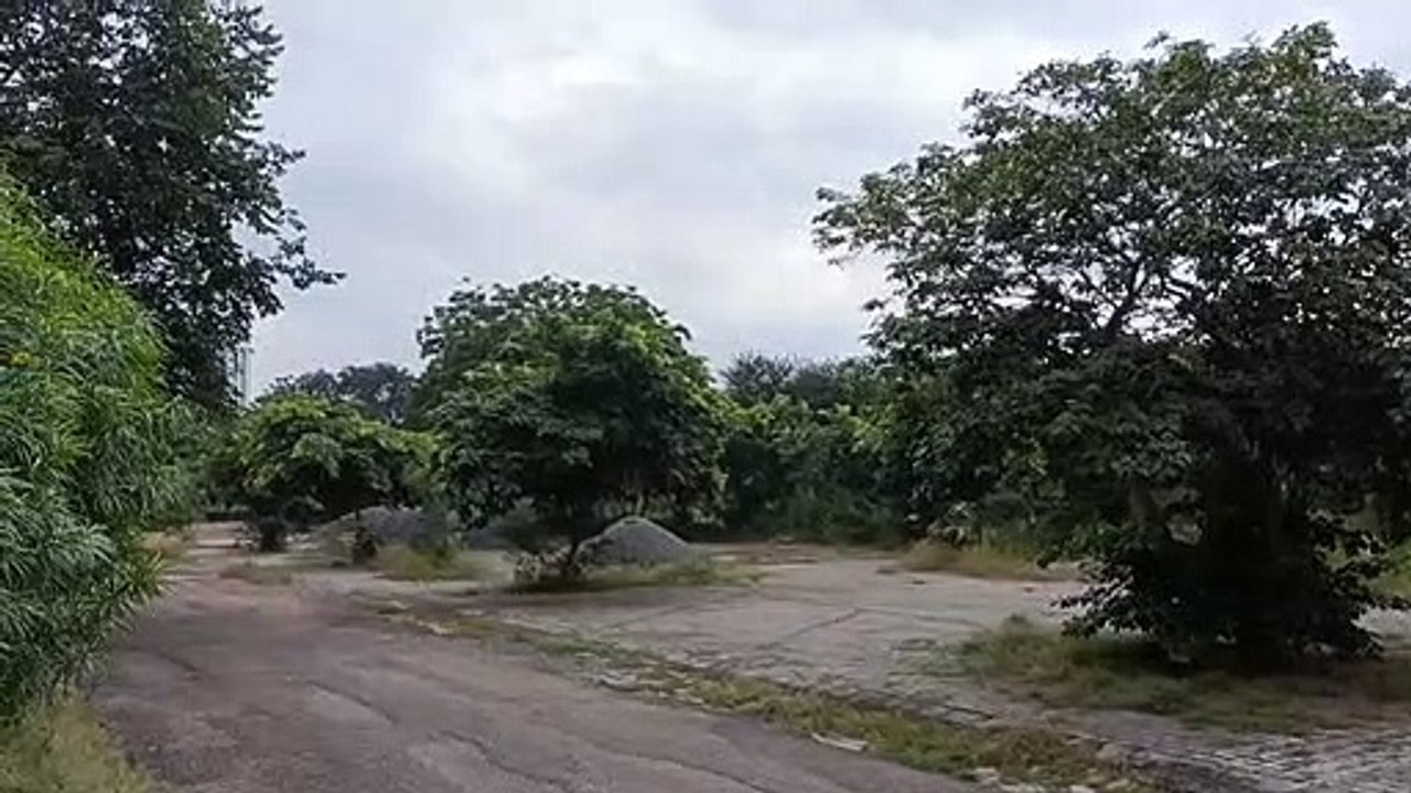 कल पांच जिलों में भारी बरसात का यलो अलर्ट , अगल...