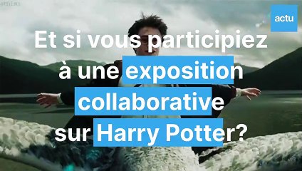 Et si vous participiez à une exposition collaborative sur Harry Potter à Lons-le-Saunier