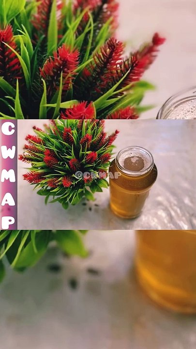 How To Grow THIN Hair Into THICK Hair Using Homemade Herbal Protein Hair Oil Remedy By CWMAP